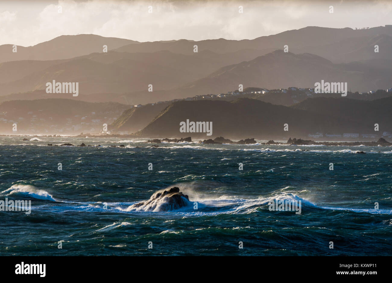 Küste der Halbinsel, in der Nähe von Miramar Wellingtion, Neuseeland Stockfoto