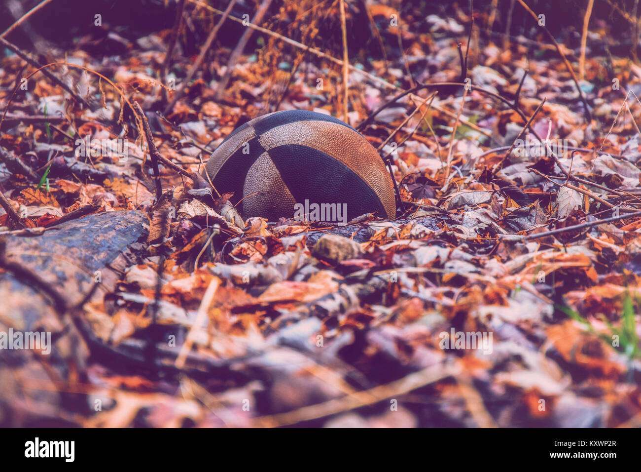 Wanderung durch den Wald und sah diese alte Basketball in den Blättern liegen auf dem Waldboden. Stockfoto