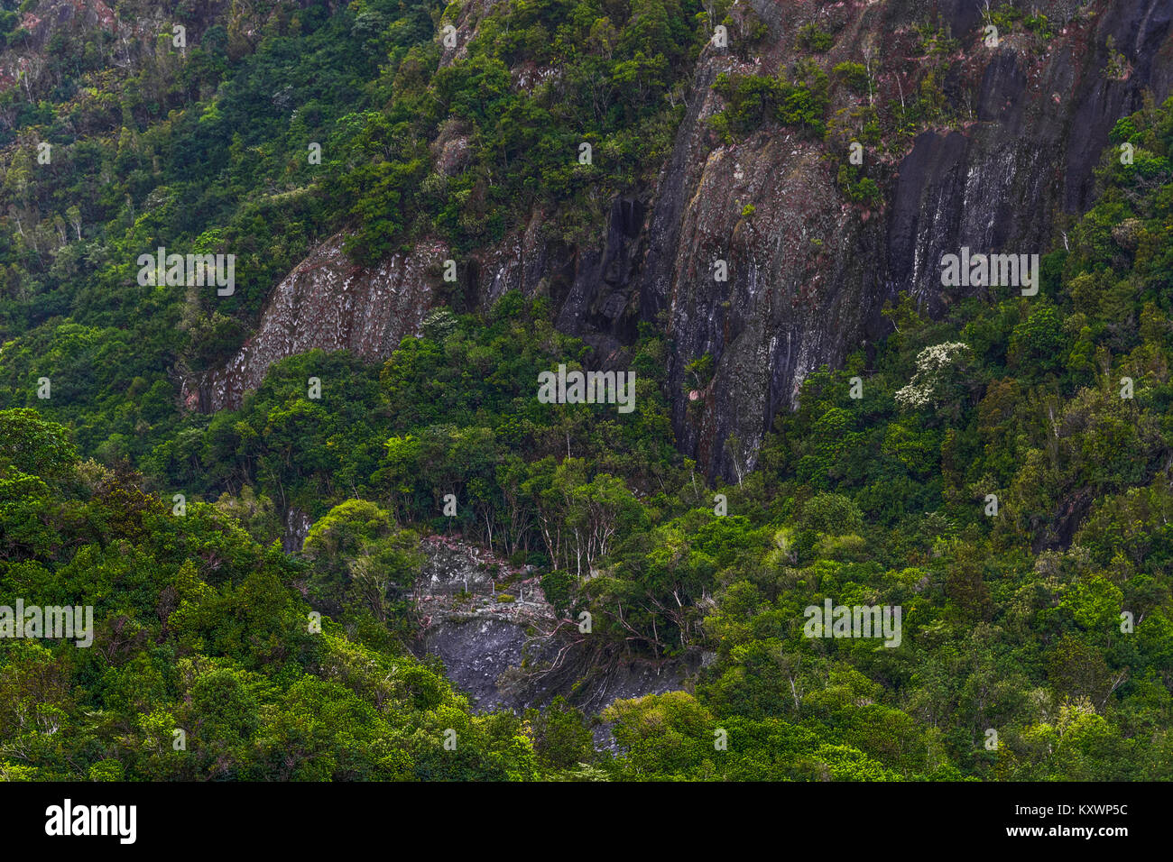 Neuseeland Stockfoto