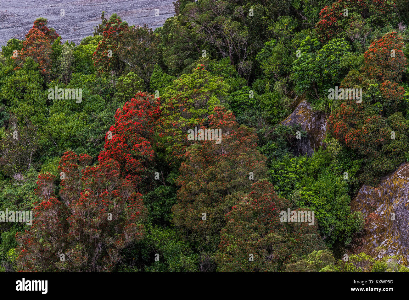 Neuseeland Stockfoto
