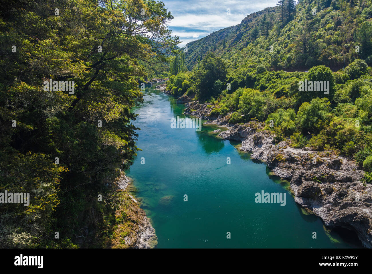 Buller River bei Buller Gorge, Neuseeland Stockfoto