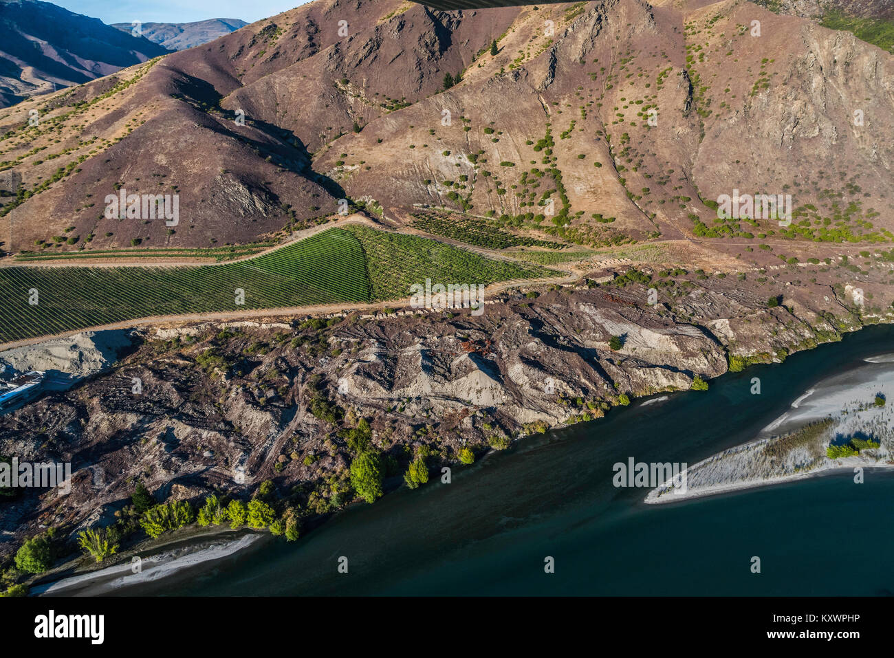 Weinberge in der Kawarau River Valley, Neuseeland Stockfoto