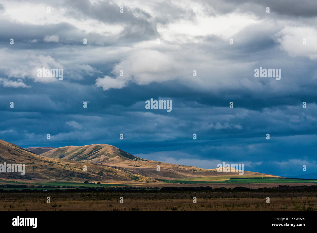 Landschaft in der Nähe von Omarama, Neuseeland Stockfoto