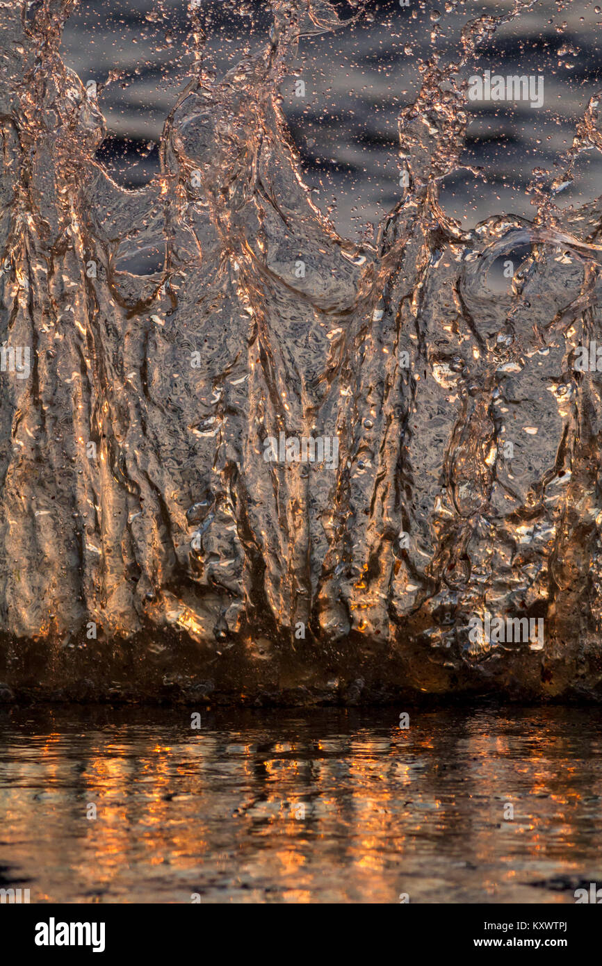 Spritzen der schimmernden Meer Wasser wie Whisky als Abendsonne leuchtet das Wasser Stockfoto