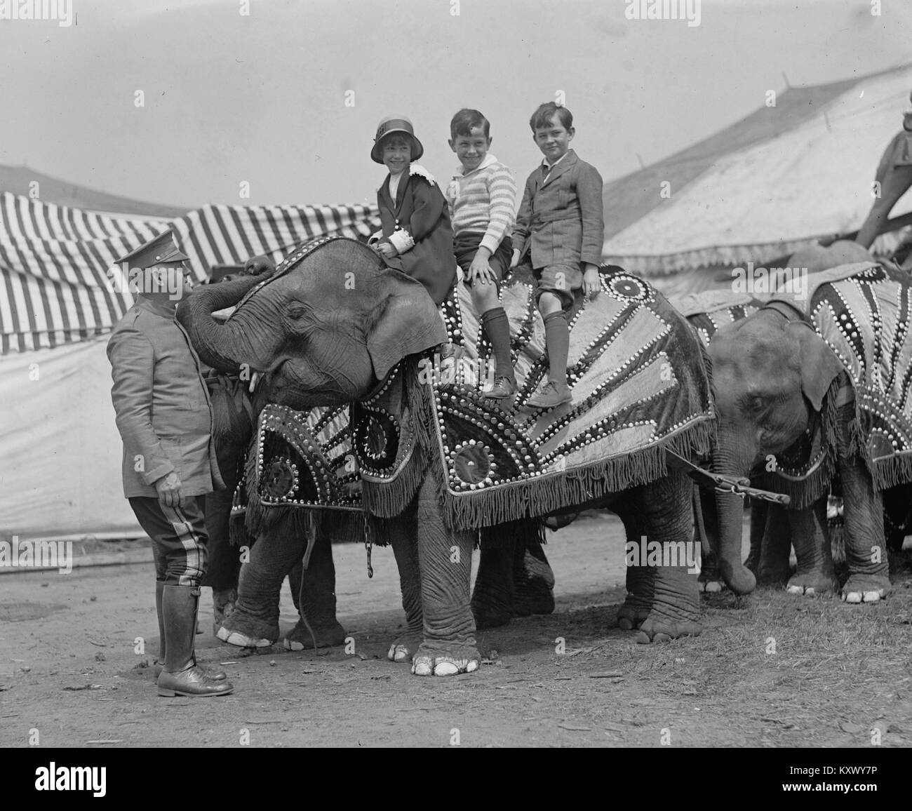 Drei Kinder reiten ein Zirkus Elefanten Stockfoto