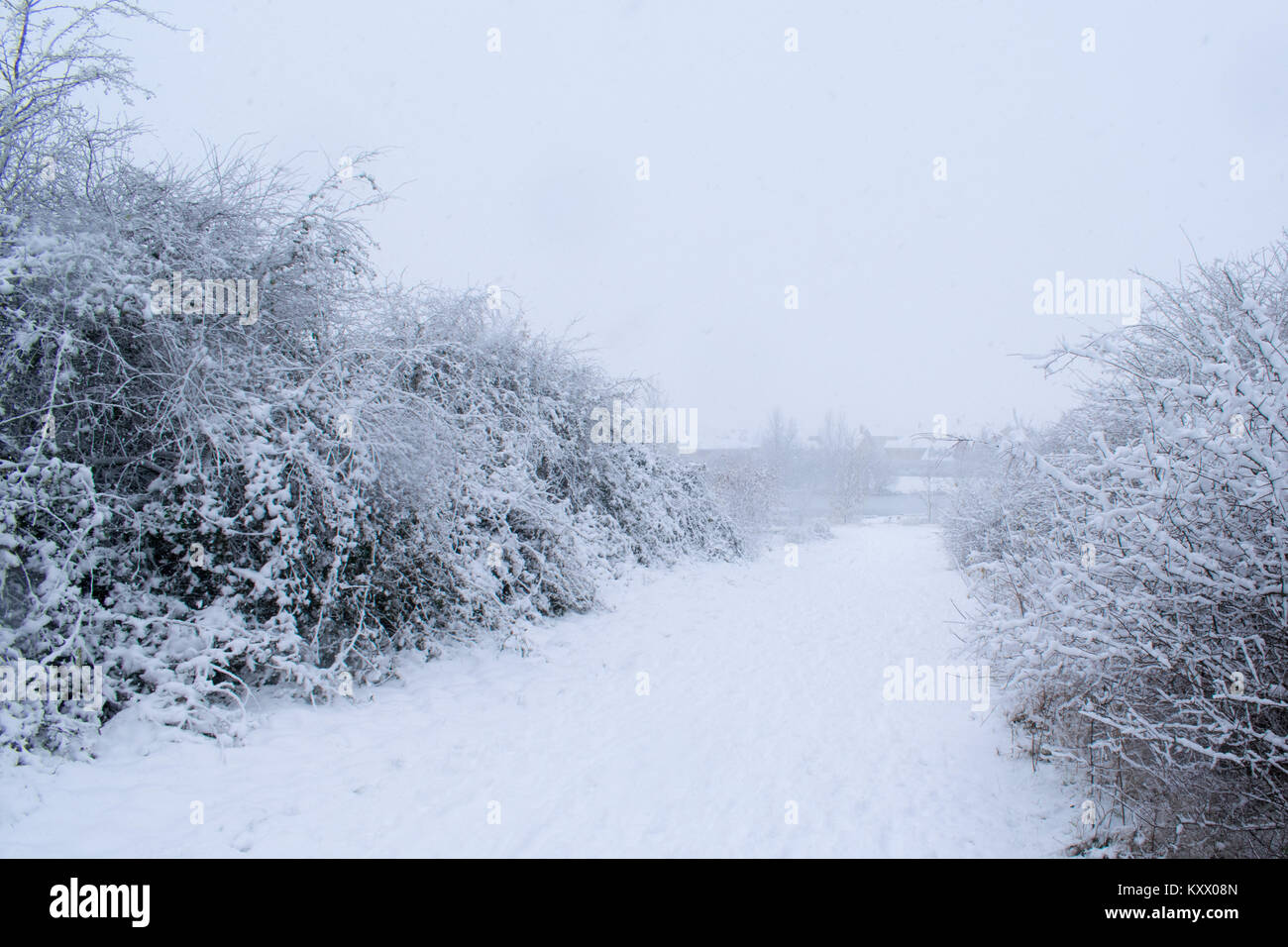 Schnee gesehen Stockfoto