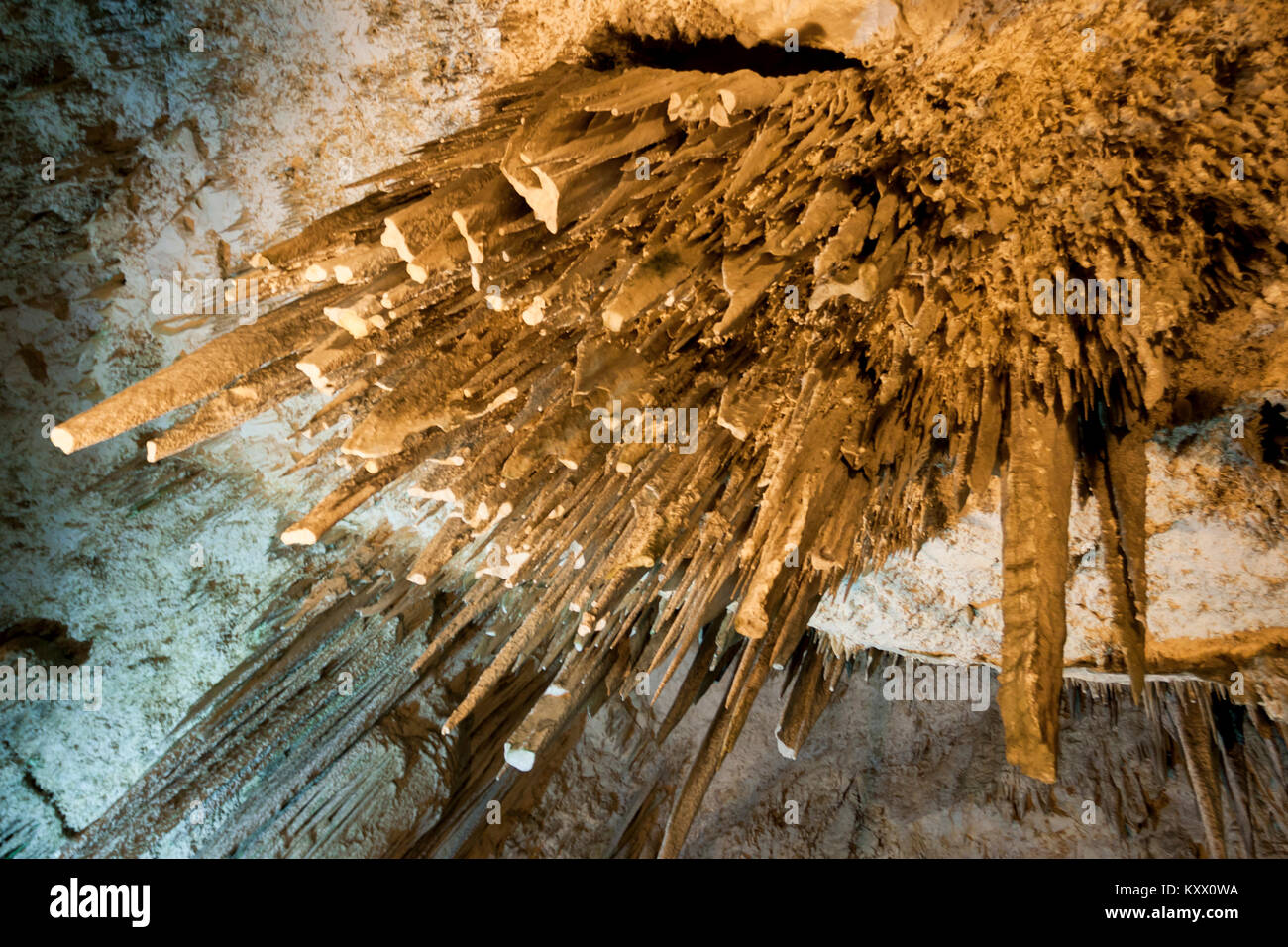 Grotte von Neptun Grotte am Capo Caccia. Alghero, Sardinien. Italien