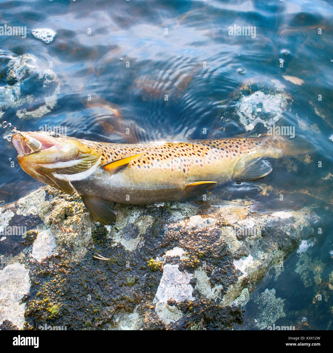 Bergseen unterwasser Fotos und Bildmaterial in hoher Auflösung Alamy