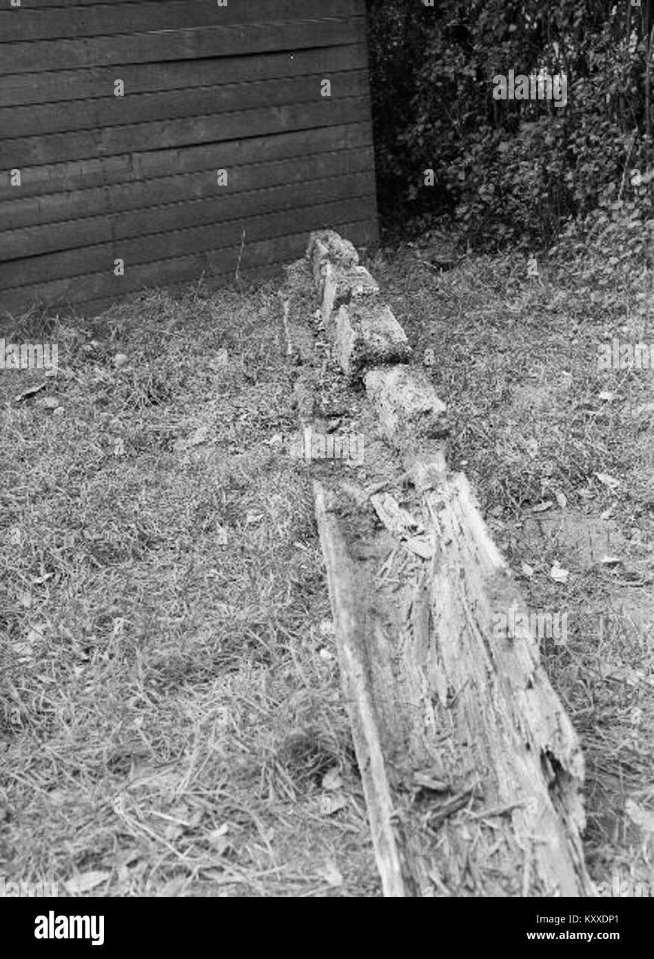 Dieses Bild zeigt die Ruinen der Kirche Fänneslunda in Schweden, ein Überrest mittelalterlicher Kirchenarchitektur. Die Stätte ist ein wichtiges historisches und kulturelles Wahrzeichen des schwedischen Erbes. Stockfoto