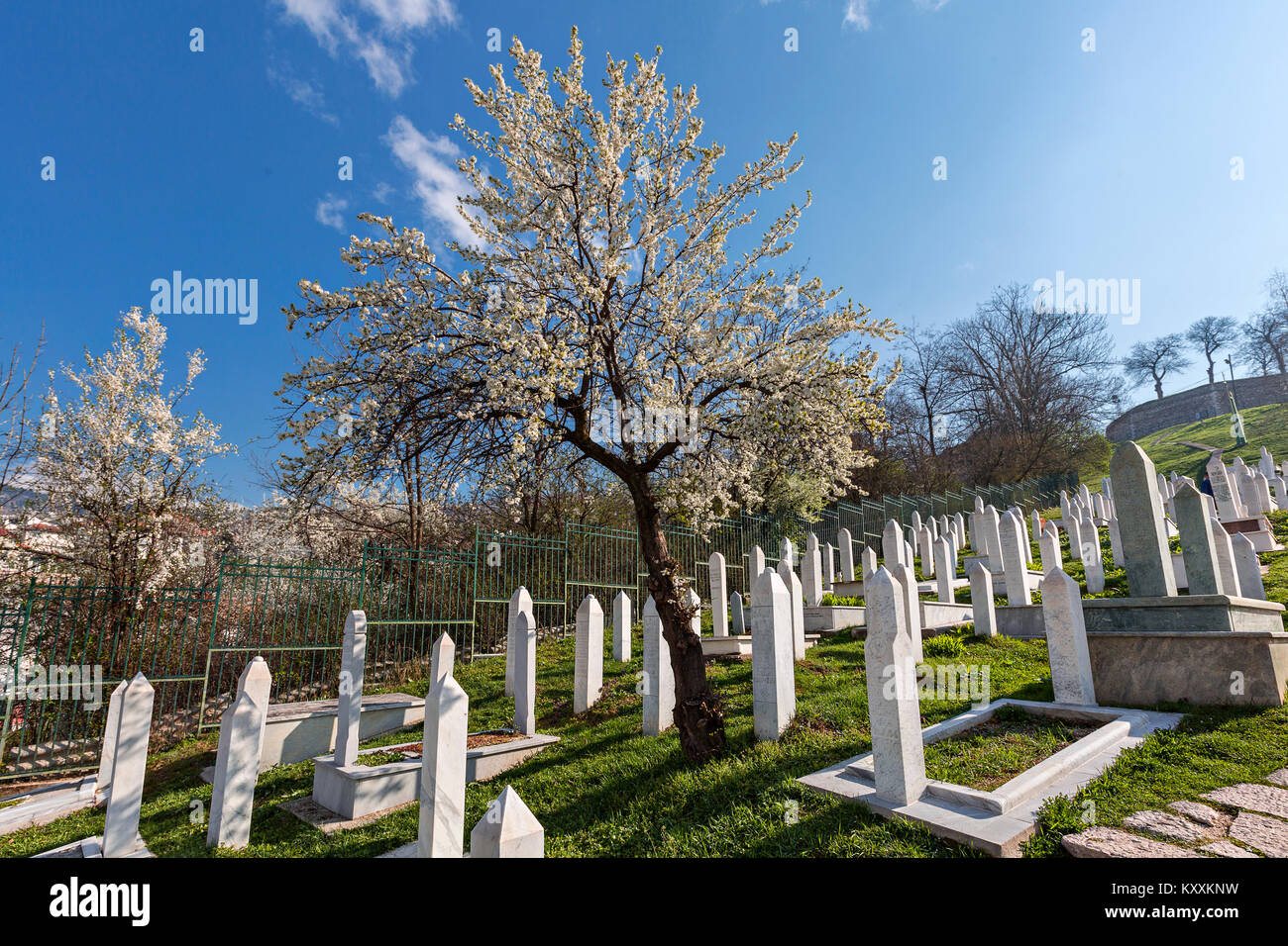 Martyrs Memorial Friedhof von Kovaci im Frühling, in Sarajewo, Bosnien und Herzegowina. Stockfoto