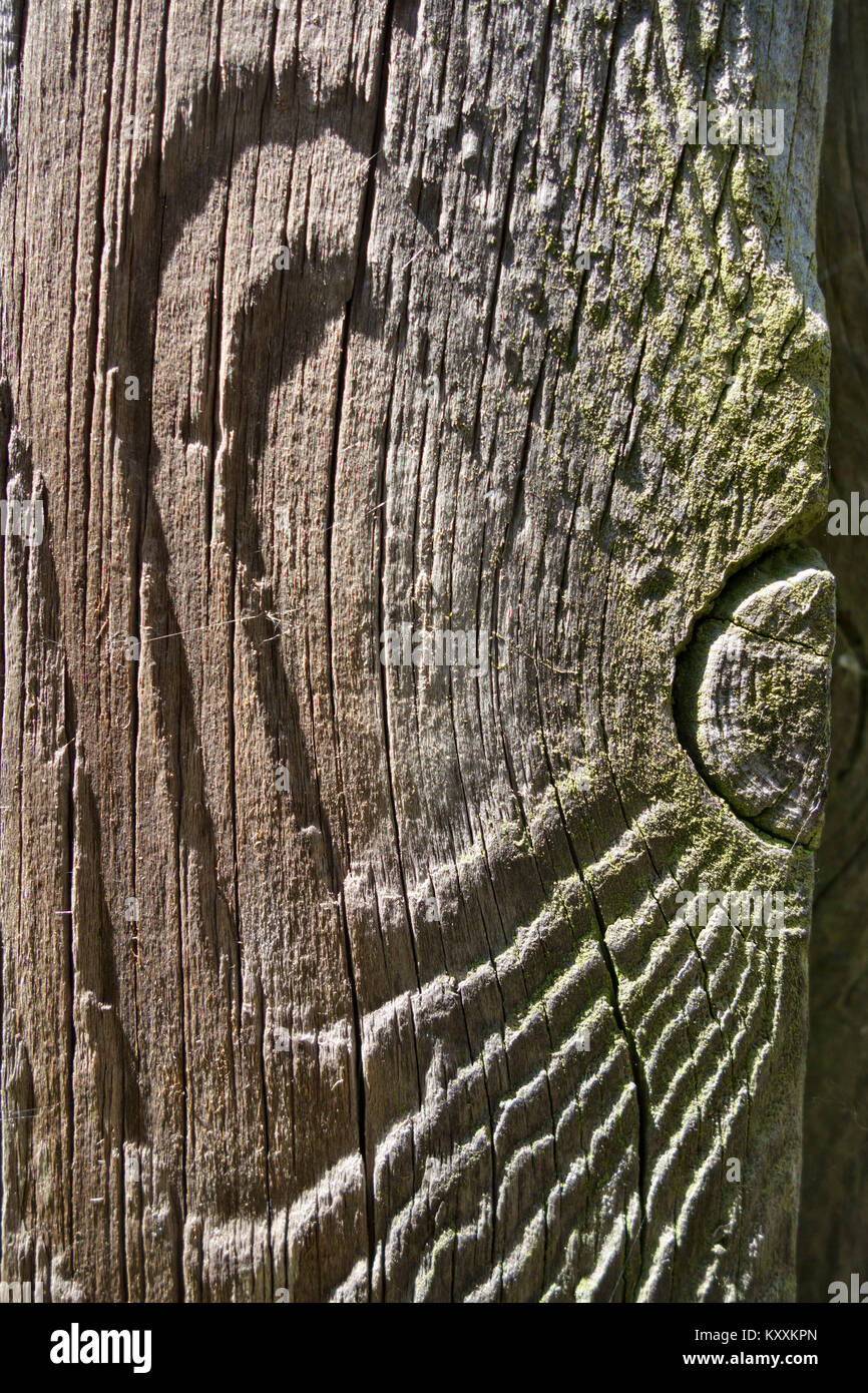 Detail einer alten, abgenutzten und verwitterte Holz- fencepost Stockfoto