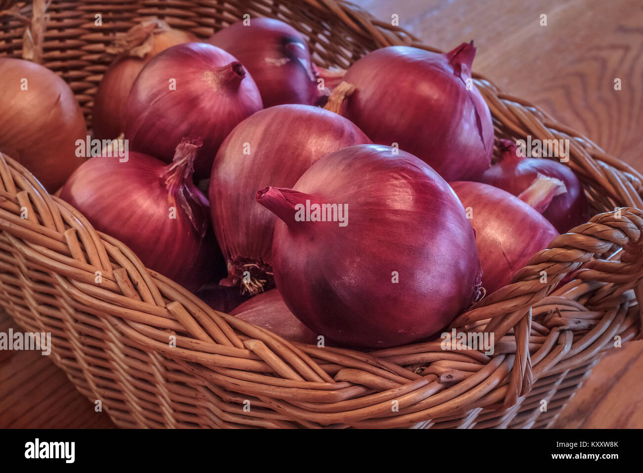 Ein stabiler Weidenkorb auf einen hölzernen Tisch Teil einer Ernte von homegrown Organic rote Zwiebeln (redwing Sorte), bereit für den Einsatz in der Küche. Stockfoto