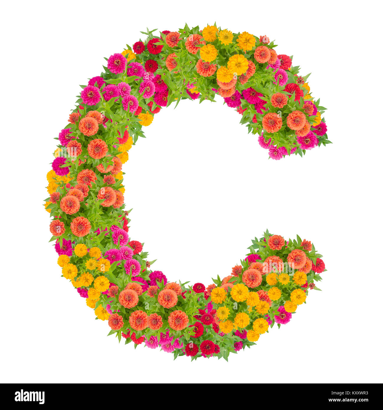 Buchstabe C Alphabet von zinnia Blume ABC Concept Art als Logo. Typografie Design, mit Freistellungspfad Stockfoto