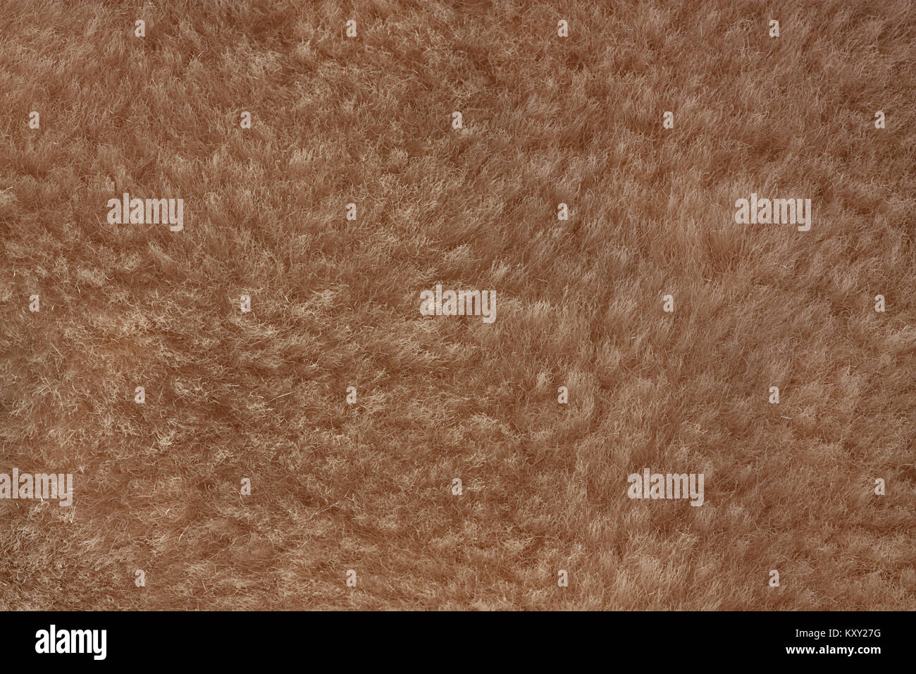 Braun shaggy Haut eines Tieres closeup Textur, Pelz Textur. Stockfoto