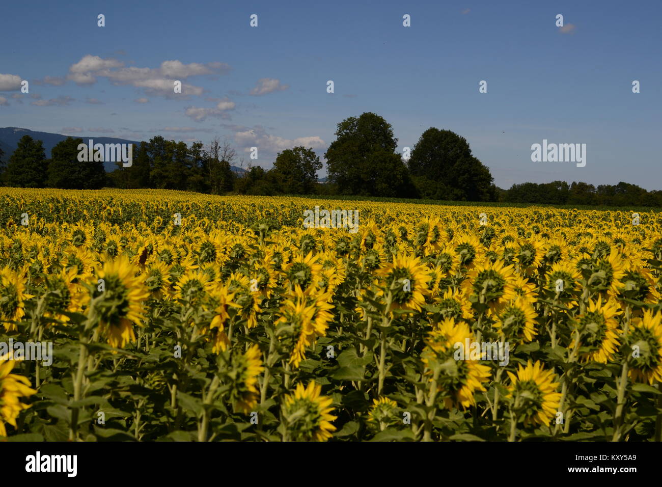 Reisen Europa Stockfoto