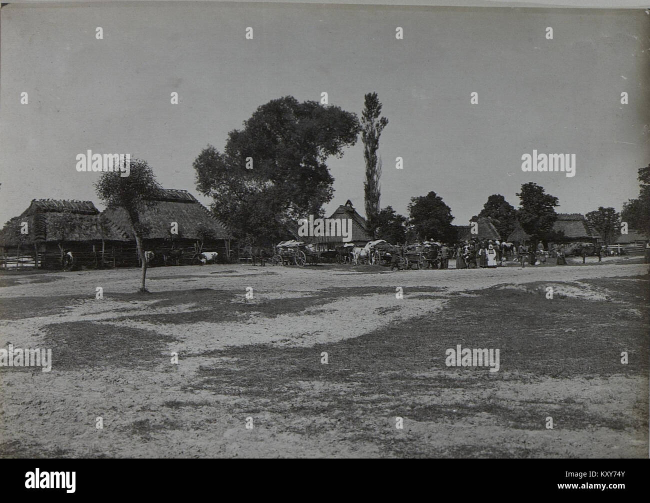 Foto, das die Evakuierung von Zivilisten in Bielawce während des Krieges zeigt. Das Bild dokumentiert die Bewegung von Menschen in Not und veranschaulicht die menschlichen Auswirkungen von Konflikten und Vertreibungen in der betroffenen Region. Stockfoto