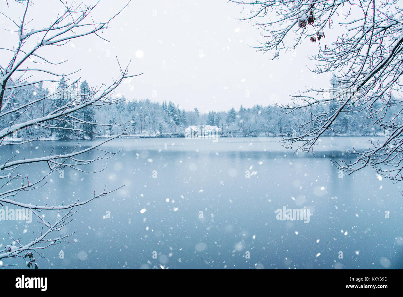 Winter Haus im verschneiten Wald auf See. Stockfoto