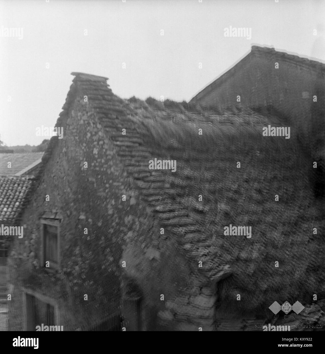 Diese Fotografie aus dem Jahr 1969 zeigt das Dach (Streha) des Hauses Nr. 12 in Gorenje pri Divači, Slowenien, und zeigt die traditionelle Dachkonstruktion und das typische Fliesenmuster des Karsthinterlandes. Stockfoto