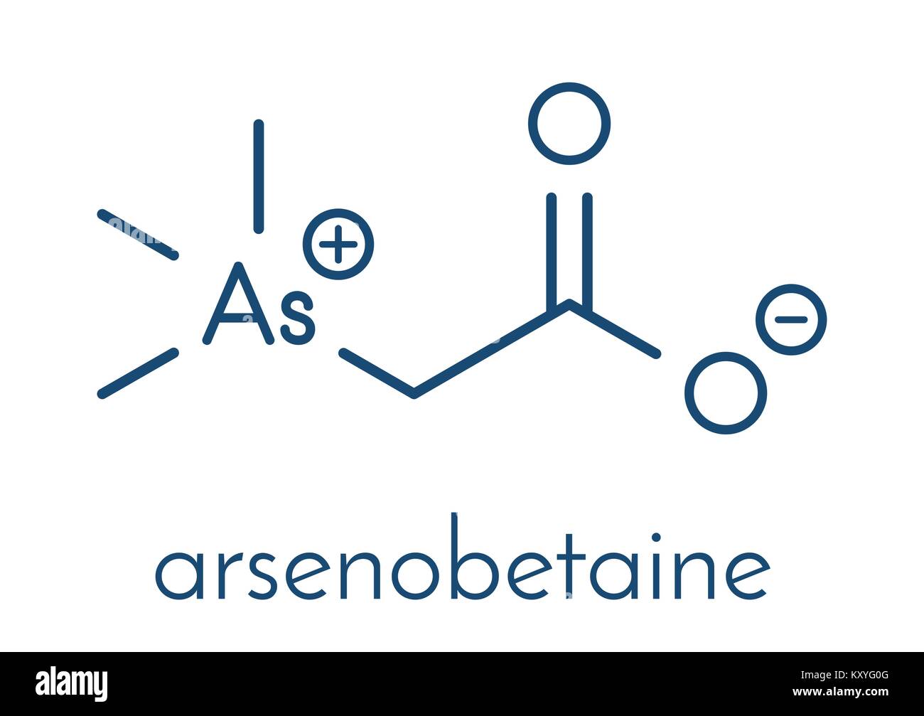 Arsenobetaine organoarsenic Molekül. Wichtigste Quelle von Arsen in