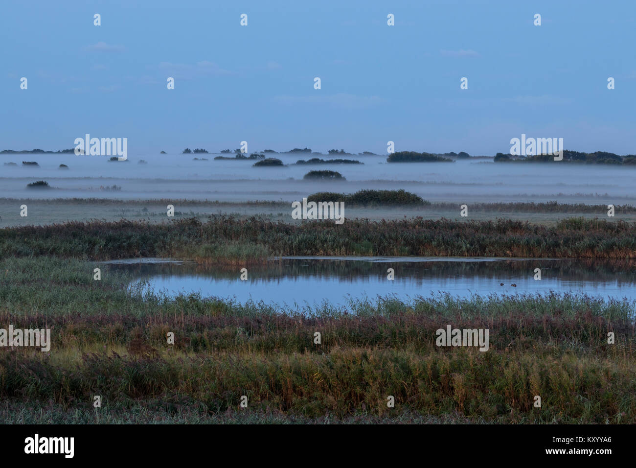 Ansicht des östlichen Mandø mit Morgennebel kurz vor Sonnenaufgang Stockfoto