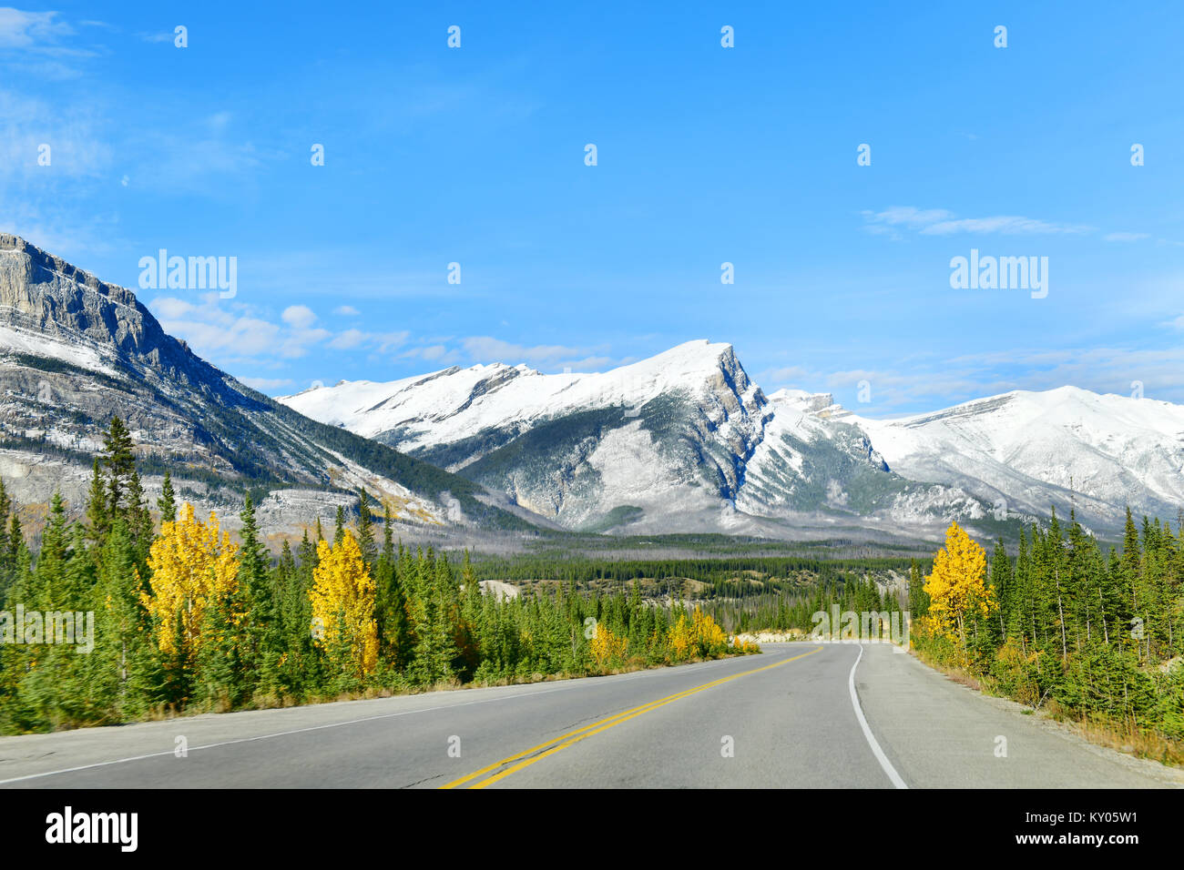 Die Straße 93 schöne "Icefield Parkway" im Herbst Jasper National Park, Kanada Stockfoto