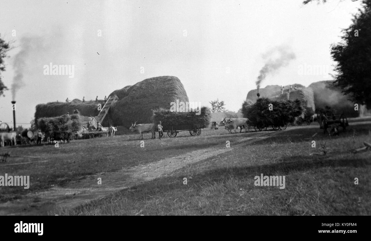 Eine Hofherr-Schrantz-Clayton-Shuttleworth Dresch- und Dampfmaschine, die landwirtschaftliche Technik und historische Maschinen zeigt. Stockfoto