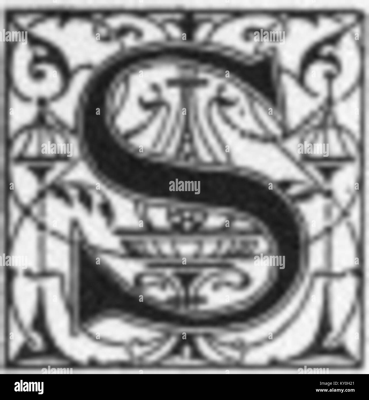 Eine künstlerische Darstellung eines dekorativen Buchstaben „S“, die feine Kalligraphie und typographisches Design veranschaulicht, das durch detaillierte Linienführung und ornamentalen Stil gekennzeichnet ist. Stockfoto