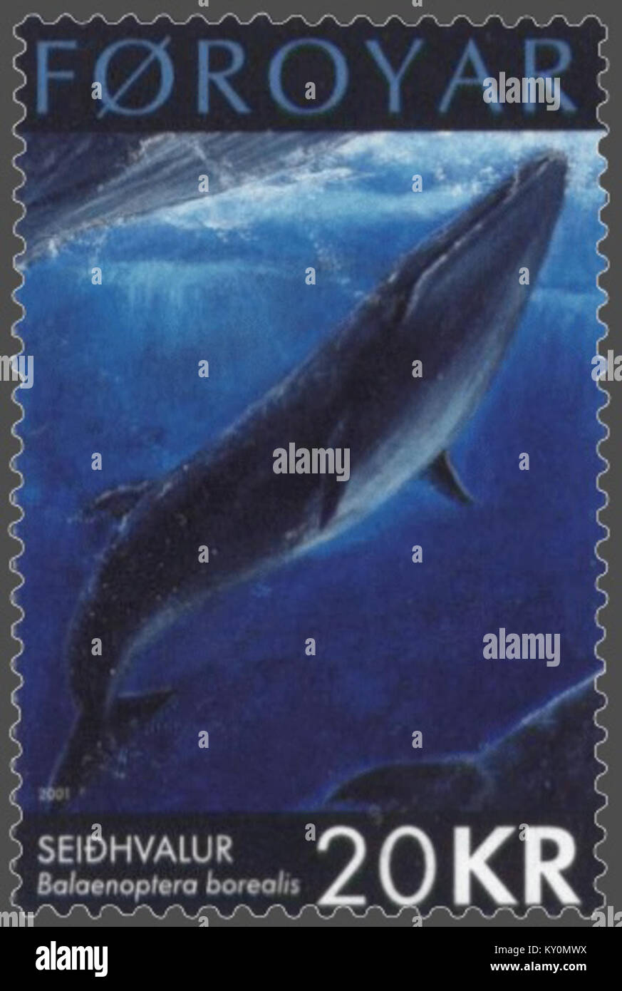 Färöer Stempel 403 Sei Wal (Balaenoptera borealis) Stockfoto