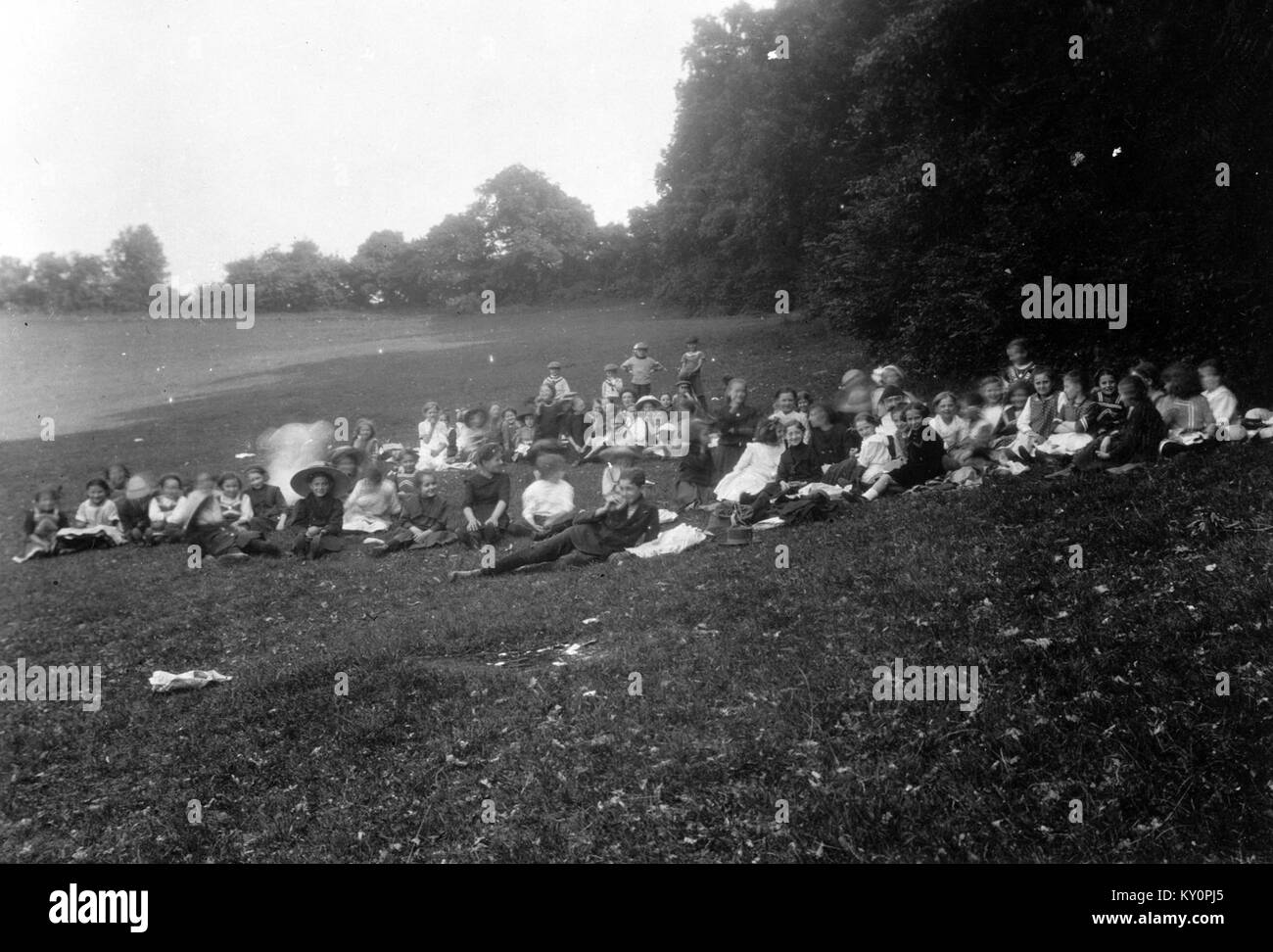 Der Wald von Hója in Ungarn ist ein Ort, an dem Schüler einen Bildungsausflug durchführten, der in historischen Fotografien dokumentiert wurde und das Lernen im Freien und das Naturerbe hervorhebt. Stockfoto