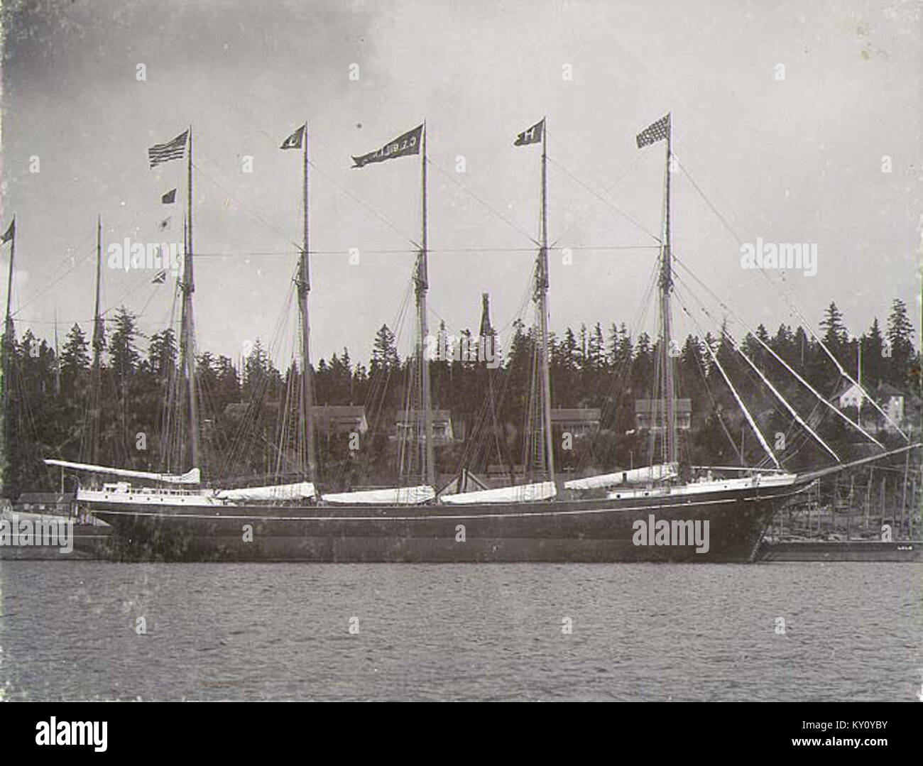 Der fünf-Mastschoner George E Billings, der um 1903 von den Hall Brothers in Port Blakely gebaut wurde, ist um 1904 am Anker abgebildet. Das 224-Fuß-Holzschiff diente im pazifischen Holzhandel, bevor es 1941 versenkt wurde. Stockfoto