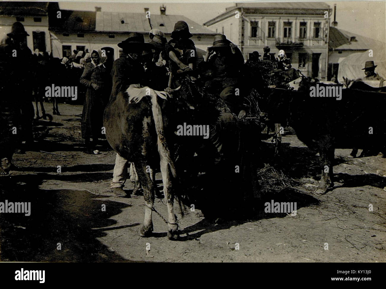 Ein historisches Bild, das Flüchtlinge in Podhajce während des Krieges zeigt und die zivilen Vertreibungen und die humanitären Folgen des Konflikts darstellt. Stockfoto