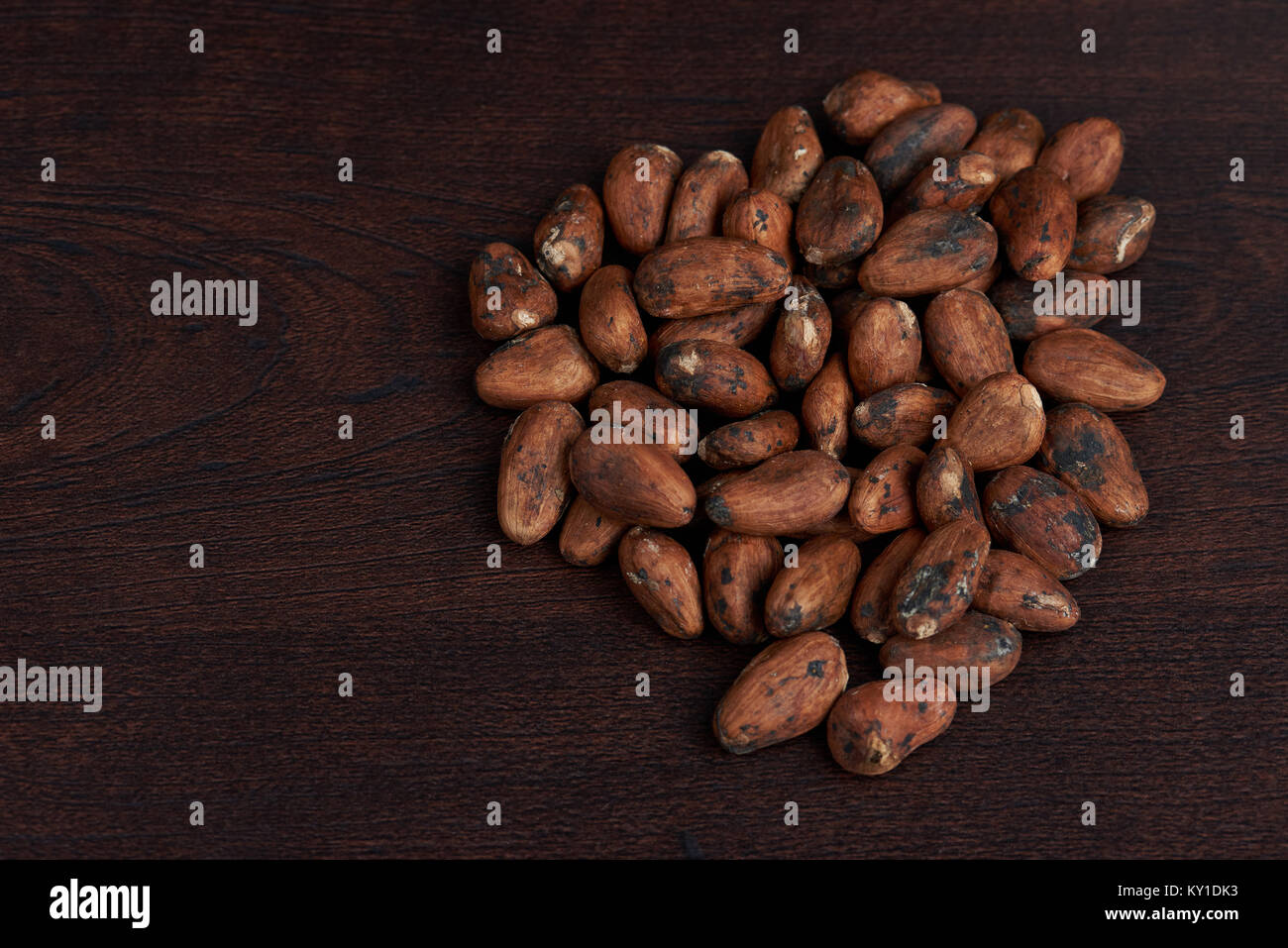 Braune trockene Kakaobohnen close-up auf dunklem Hintergrund Stockfoto