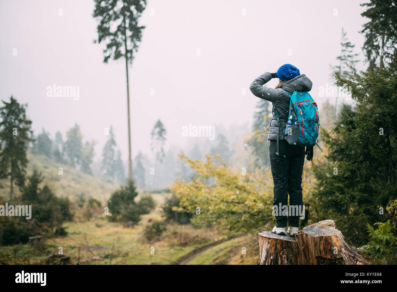 Download In die ferne schauen HD