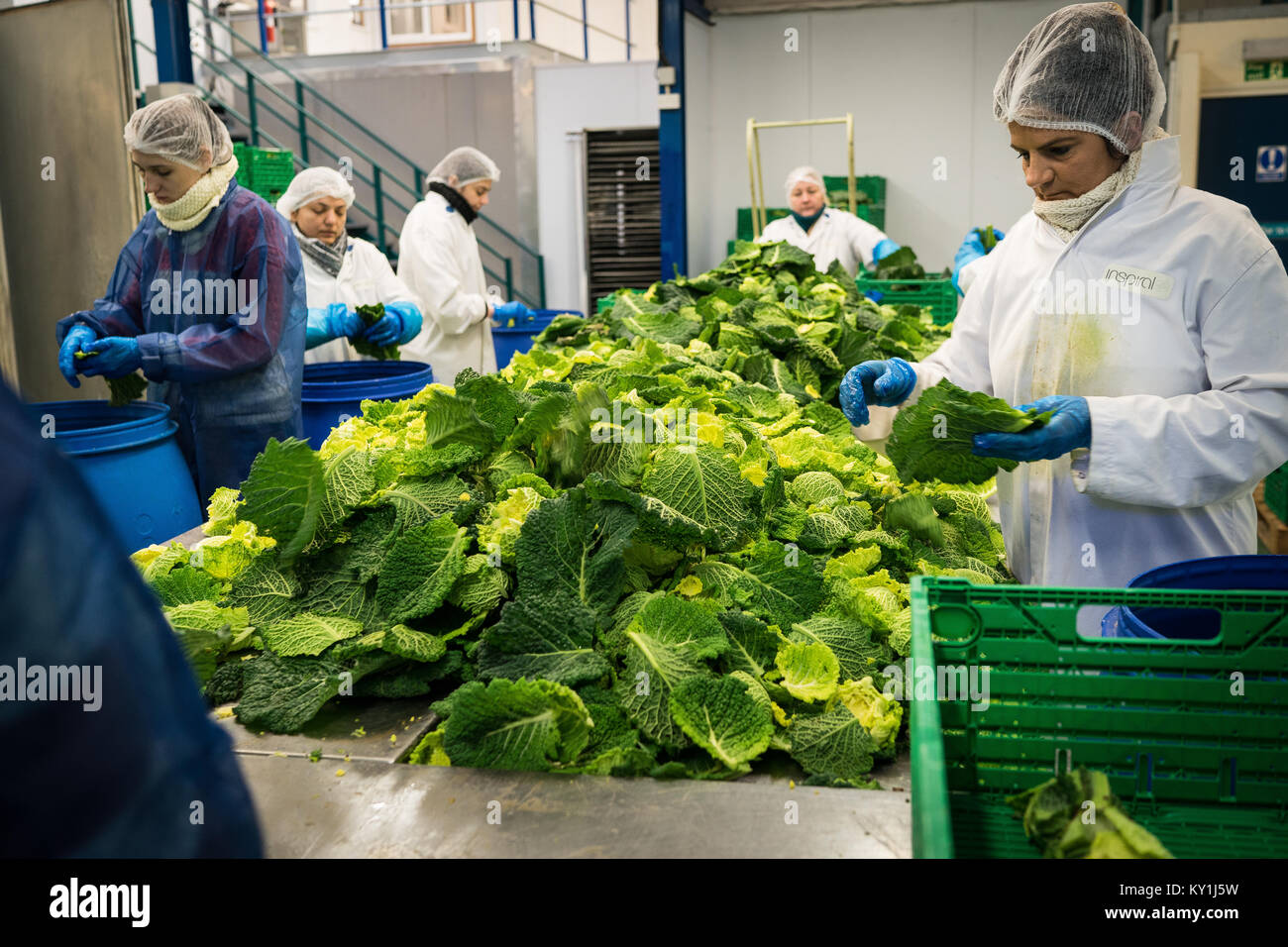 Inspiral, Anbieter von Bio Vegetarische Kost, North London, Großbritannien Stockfoto