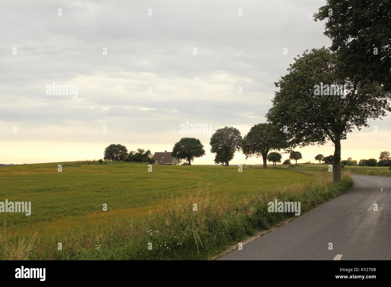 Dänemark: Dänische Landschaft Landschaft Stockfoto