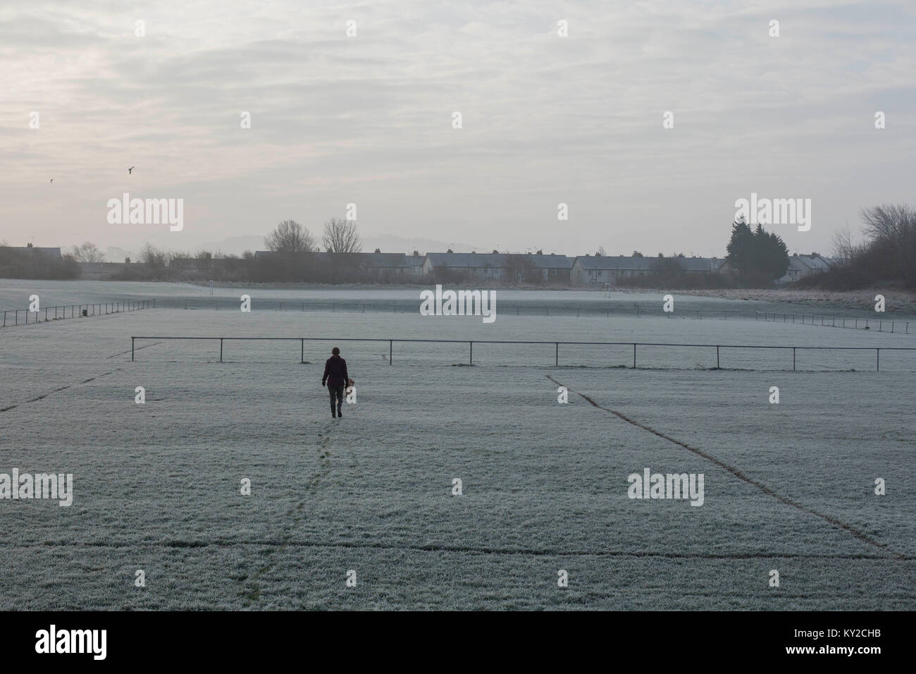 Cardiff, Wales, UK. 12. Januar 2018. Eine Frau und Hund Spaziergang über die Felder spielt in schweren Morgen Frost. Credit: Mark Hawkins/Alamy leben Nachrichten Stockfoto
