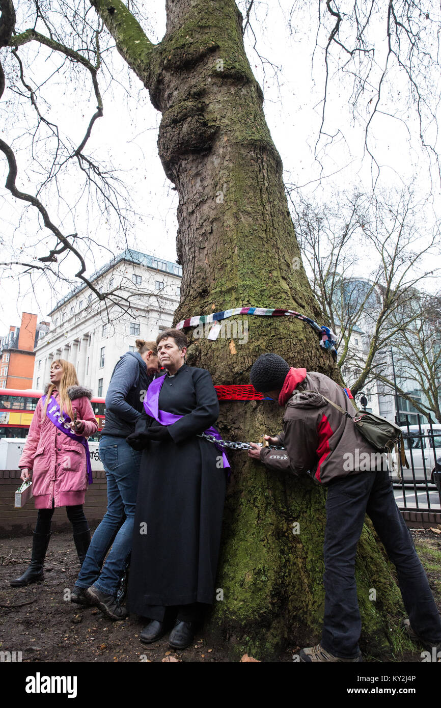 London, Großbritannien. Januar 2018. Anne Stevens, die Pfarrerin der St. Pancras Kirche, wird im Rahmen einer Kampagne von Anwohnern an einen Baum vor dem Bahnhof Euston angekettet, um gegen den geplanten Abschlag eines reifen Londoner Flugzeugs, Red Oak, Common Lime, Gemeinsame Weißbeam- und Wilddienstbäume in den Euston Square Gardens, um im Rahmen der Vorbereitungen für die HS2-Bahnstrecke temporäre Baustellen und einen verdrängten Taxistand freizumachen. Kredit: Mark Kerrison/Alamy Live Nachrichten Stockfoto