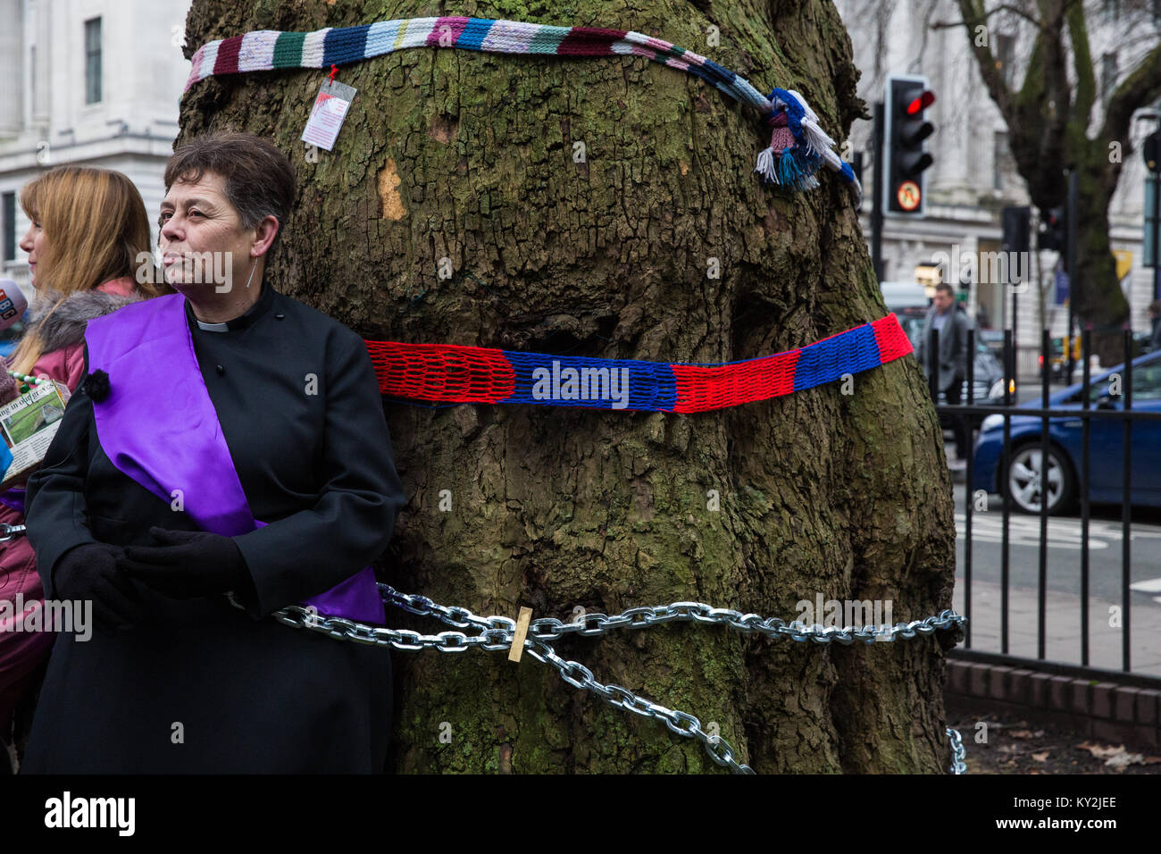 London, Großbritannien. Januar 2018. Anne Stevens, die Pfarrerin der St. Pancras Kirche, wird im Rahmen einer Kampagne von Anwohnern an einen Baum vor dem Bahnhof Euston angekettet, um gegen den geplanten Abschlag eines reifen Londoner Flugzeugs, Red Oak, Common Lime, Gemeinsame Weißbeam- und Wilddienstbäume in den Euston Square Gardens, um im Rahmen der Vorbereitungen für die HS2-Bahnstrecke temporäre Baustellen und einen verdrängten Taxistand freizumachen. Stockfoto