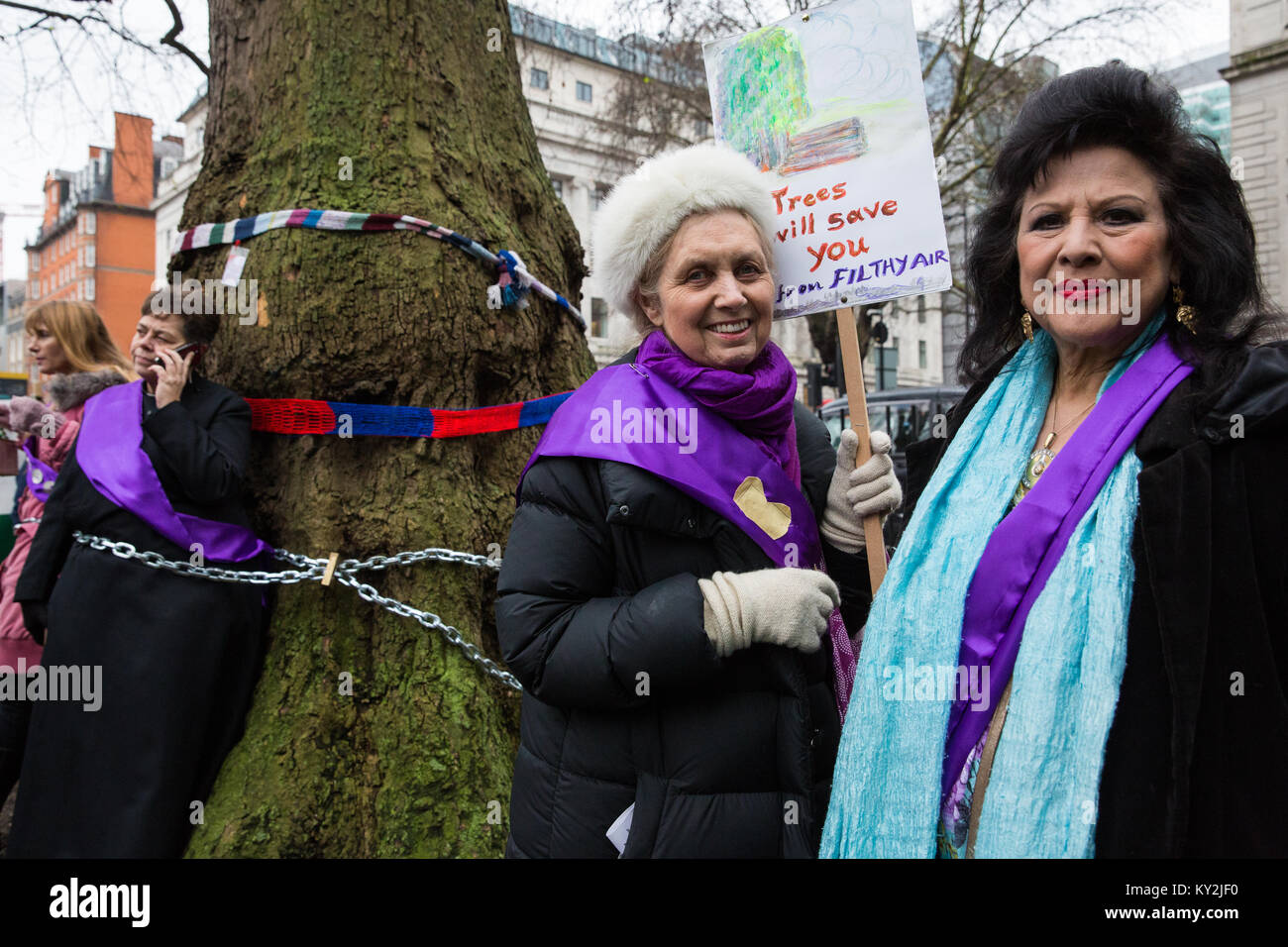 London, Großbritannien. Januar 2018. Coral Bower (c) und Mimi Romilly (r) protestieren mit anderen Anwohnern gegen den geplanten Abschlag eines reifen Londoner Flugzeugs, Red Oak, Common Lime, Gemeinsame Weißbeam- und Wilddienstbäume in den Euston Square Gardens, um im Rahmen der Vorbereitungen für die HS2-Bahnstrecke temporäre Baustellen und einen verdrängten Taxistand freizumachen. Stockfoto