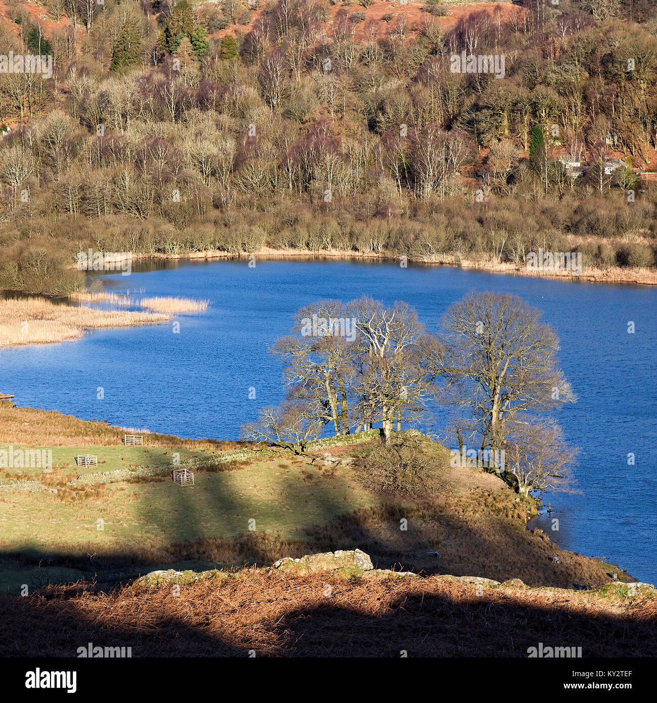 Rydal Wasser im Winter Lake District National Park Cumbria England Großbritannien Stockfoto