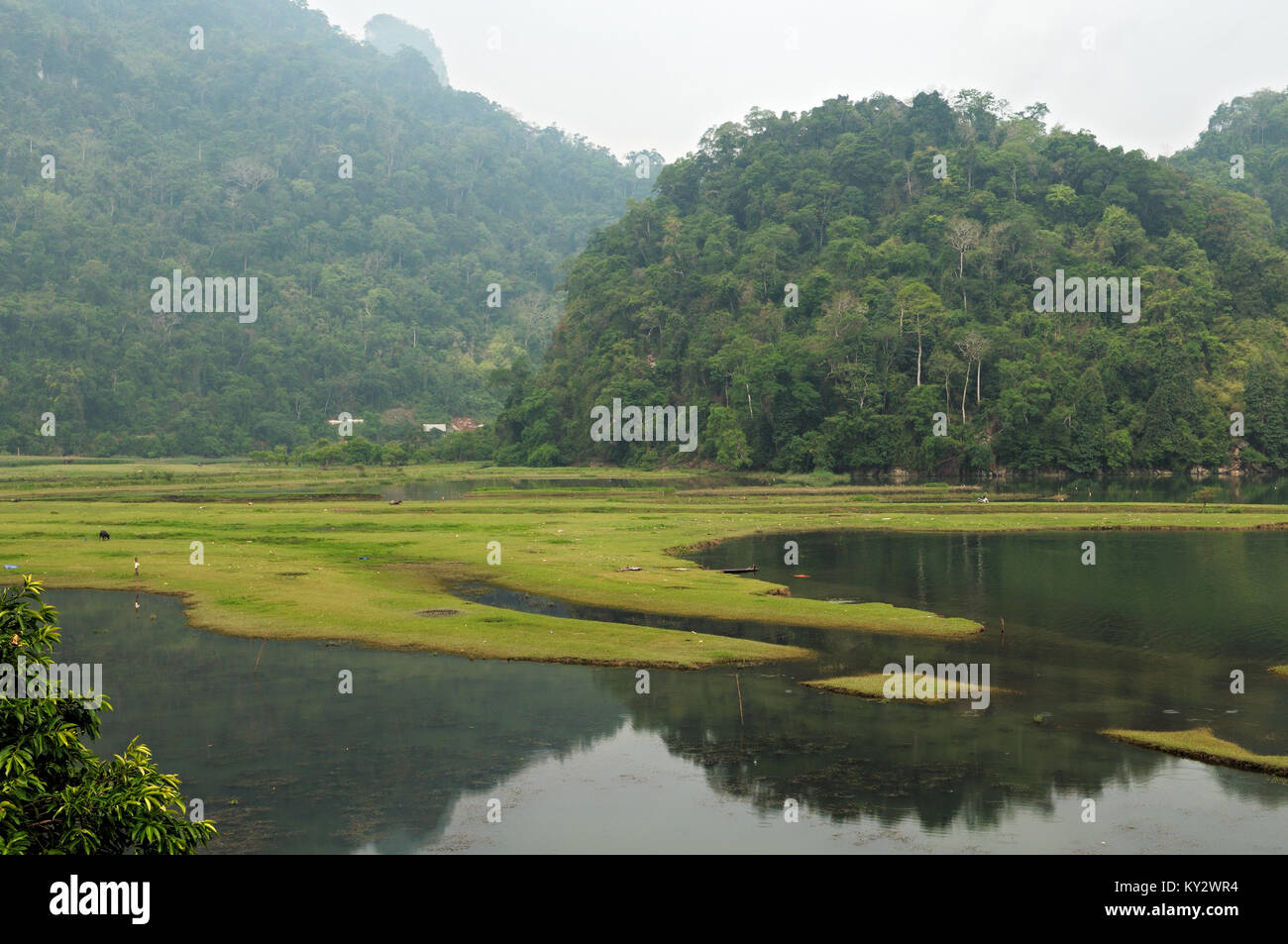 Morgen Reflexion am Ufer des Sees, Ba, National Park, North Vietnam Stockfoto