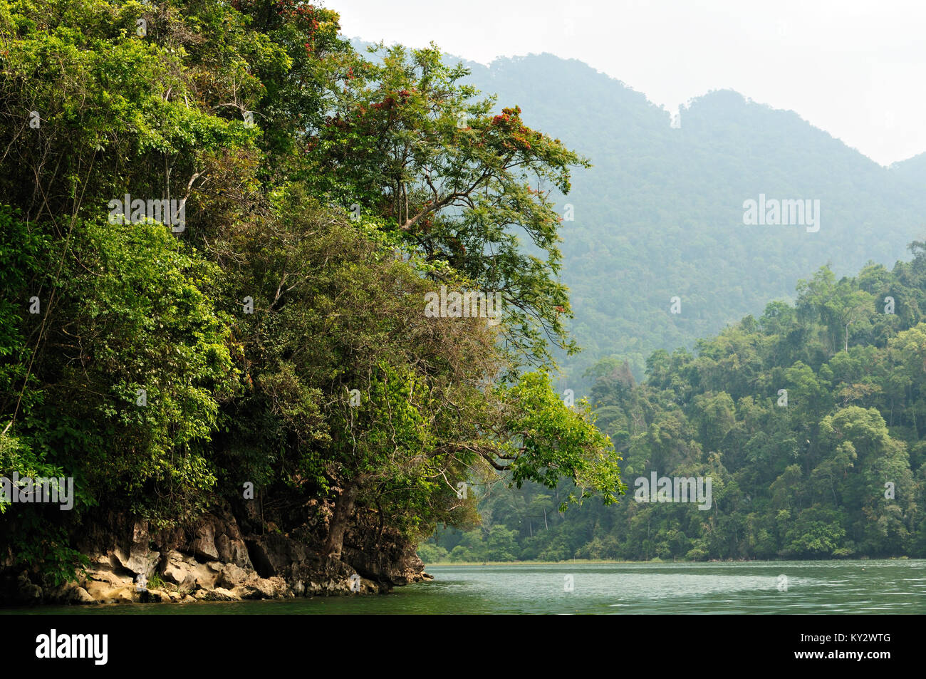 Bergen und tropischen Wald, Ba, National Park, North Vietnam Stockfoto
