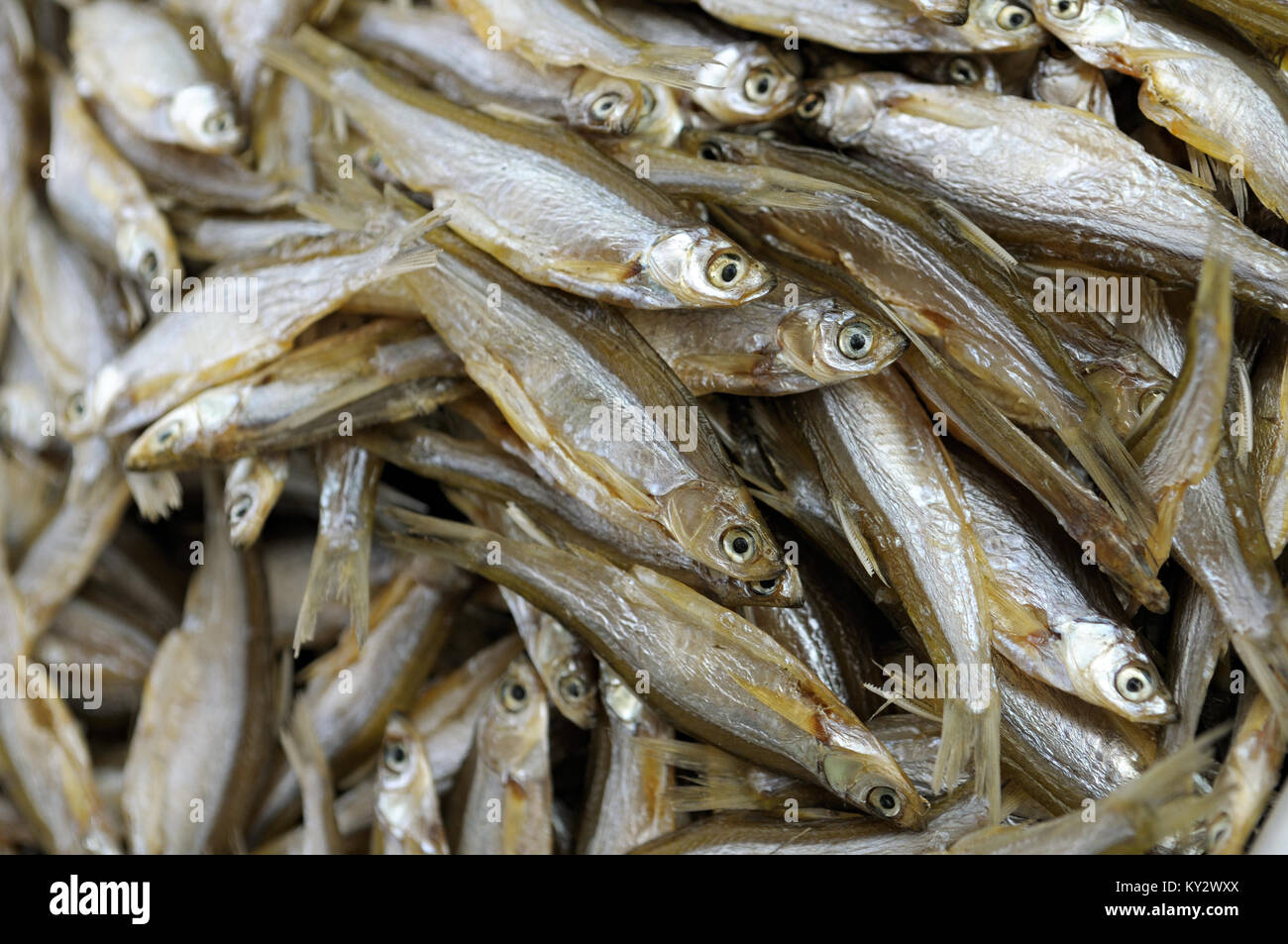 Kleine getrocknete Fische von Ba, See, Ba National Park in North Vietnam. Stockfoto