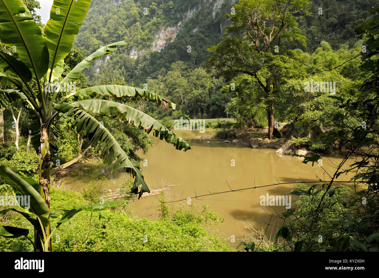 Bananenstaude und Nang River, Ba National Park in North Vietnam. Stockfoto