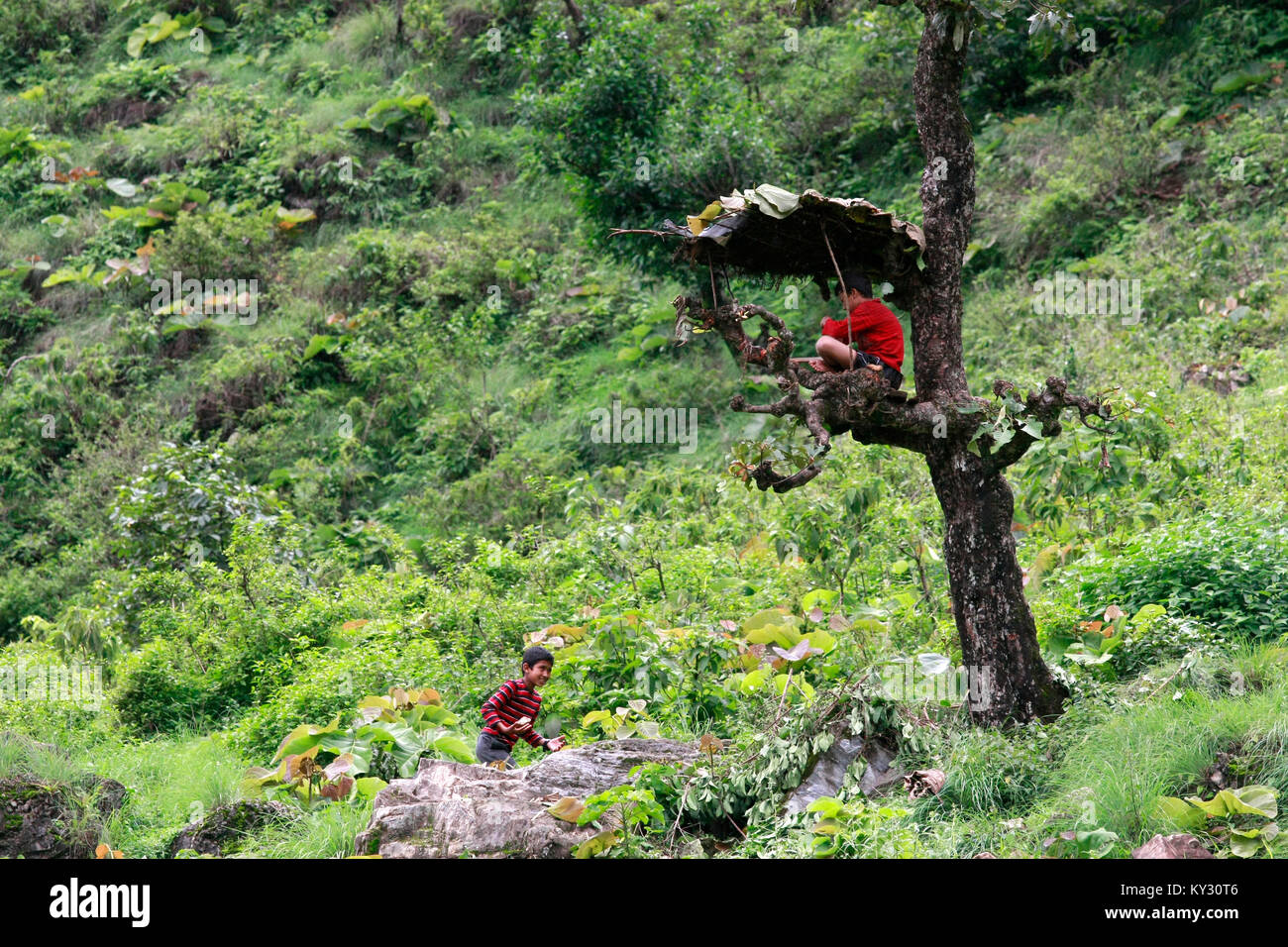 Ein kleiner Junge bringt Mittagessen an seinen Freund wartet in einer Hütte auf einem Baum gebaut. Stockfoto