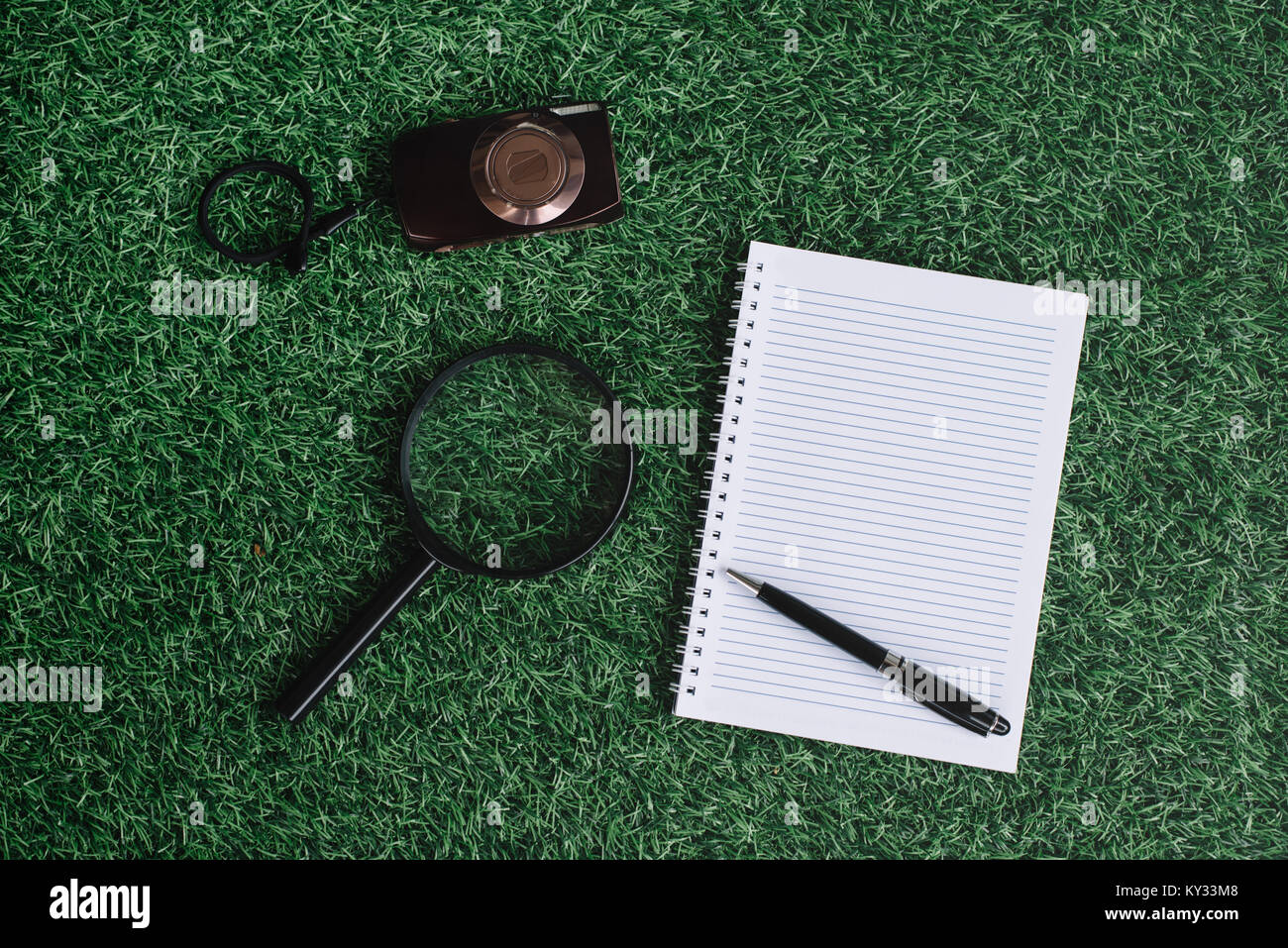 Lupe, grüne Pflanze und ein leeres Notebook auf grünem Gras. Stockfoto