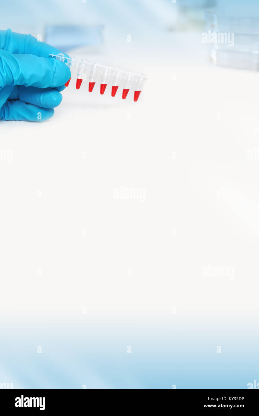 Vertikale wissenschaftlichen Hintergrund in blau und rot, Platz für Ihren Text. Hand in blau Handschuh holding Proben für DNA-Amplifikation mit roten Reaktion mictur Stockfoto