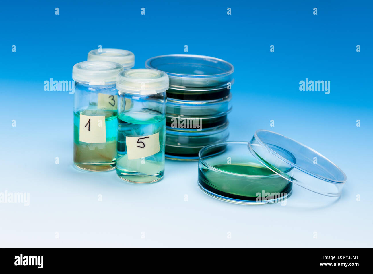 Histologica Proben von Zellen und Gewebe auf der blauen Gradienten Hintergrund Stockfoto