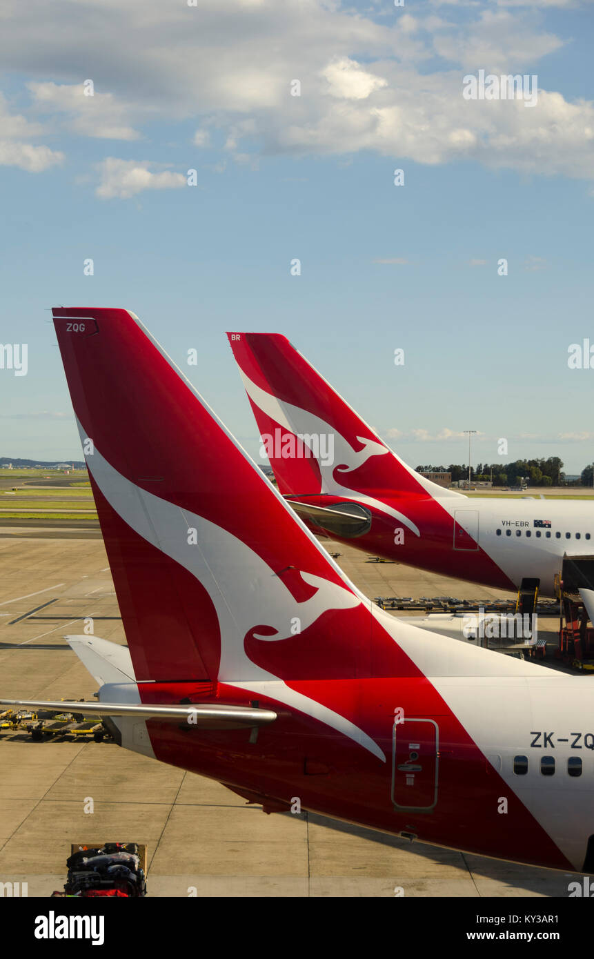 Qantas Flugzeug in Sydney Kingsford Smith Flughafen, New South Wales, Australien Stockfoto