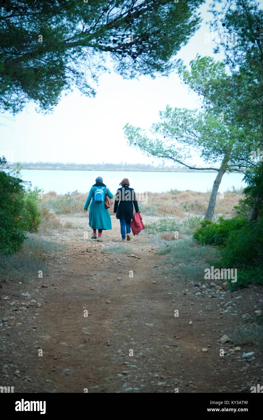Zwei Frauen mittleren Alters zu Fuß entfernt von der Kamera Chat auf eine Öffnung in einem Wald mit einem See in der Ferne Stockfoto